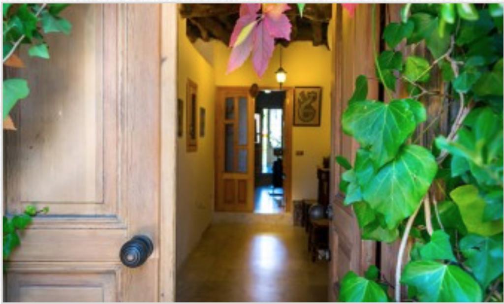 El Achkar Guesthouse Beit ed-Dine Eksteriør billede
